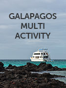 Galapagos multi activity