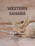 Western Sahara