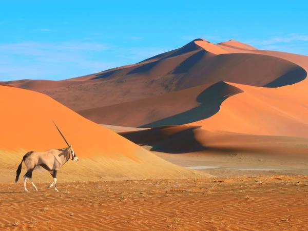 Namibia self drive tour, deserts and canyons