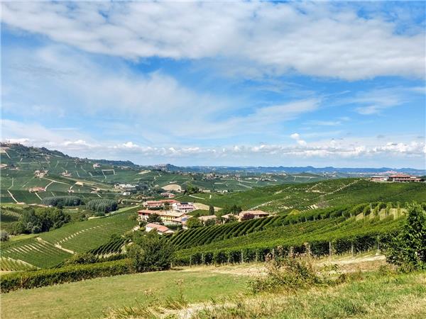 Piedmont walking vacation, Vineyards of Barolo 