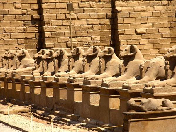 Egypt 10 day tour with Nile cruise