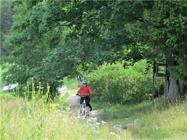 Biking vacation in the Baltics