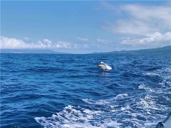 Azores walking holiday, Portugal