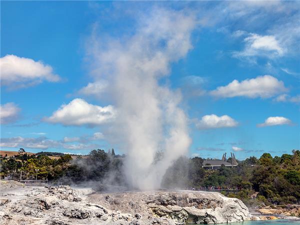 New Zealand north and south tour, in comfort