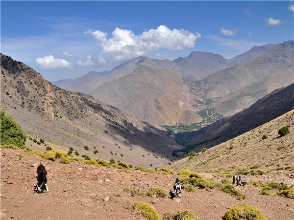 Morocco vacations, Atlas Panorama