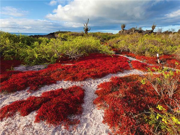 Galapagos cruise vacation