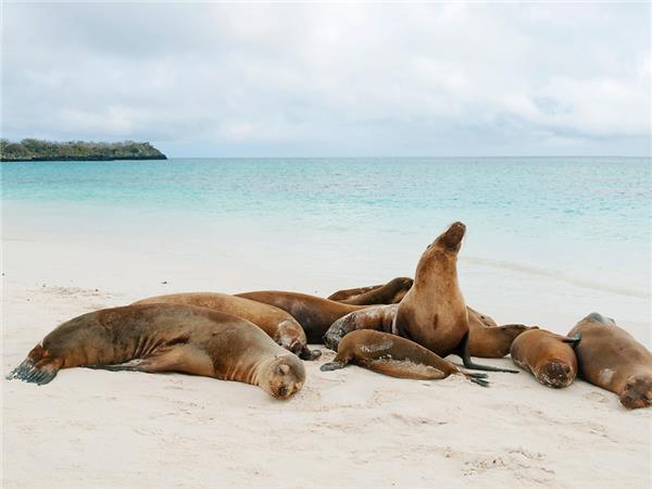 Galapagos, Bolivia and Peru tour