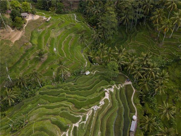 Bali biking vacation in Indonesia