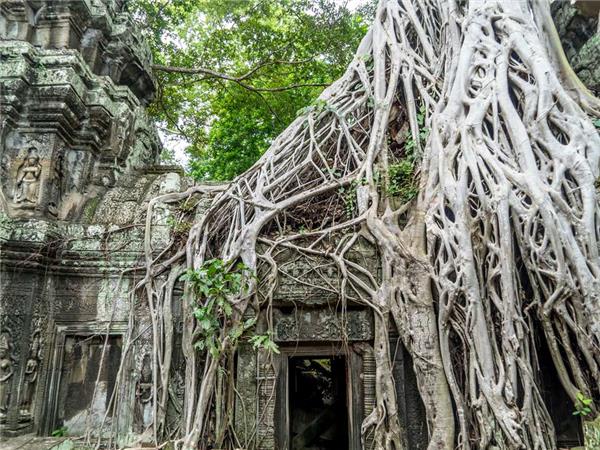 Cambodia six day tour