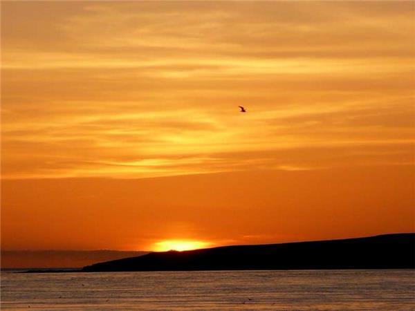 Orkney Isles walking vacation, small group