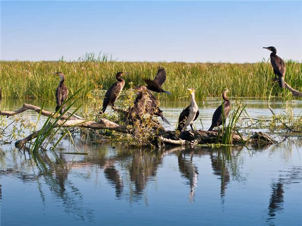 Romania and Danube Delta small group holiday