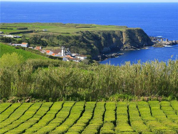 Island hopping in the Azores, small group