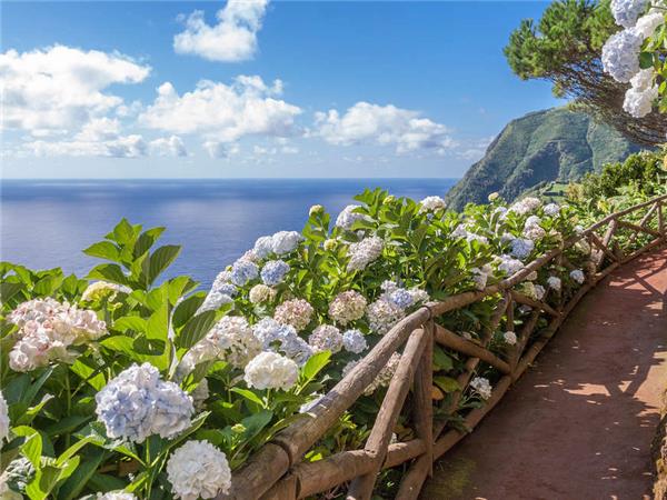 Island hopping in the Azores, small group