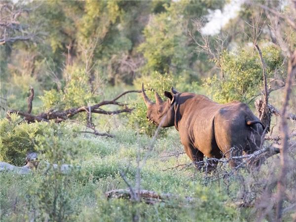 Kruger & coast vacation in South Africa