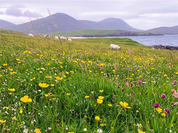 Walking in Outer Hebrides & the Isle of Skye