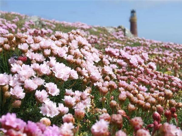 Walking in Outer Hebrides & the Isle of Skye