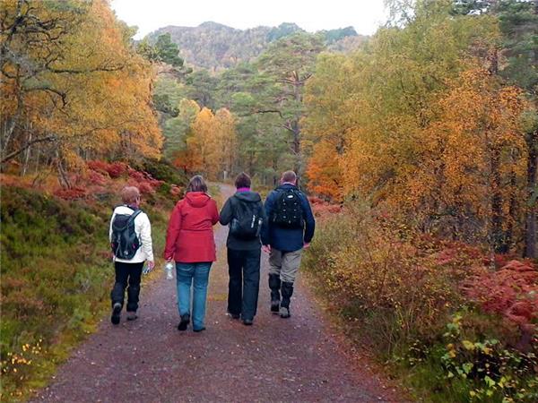 Autumn walking vacation in the Scottish Highlands