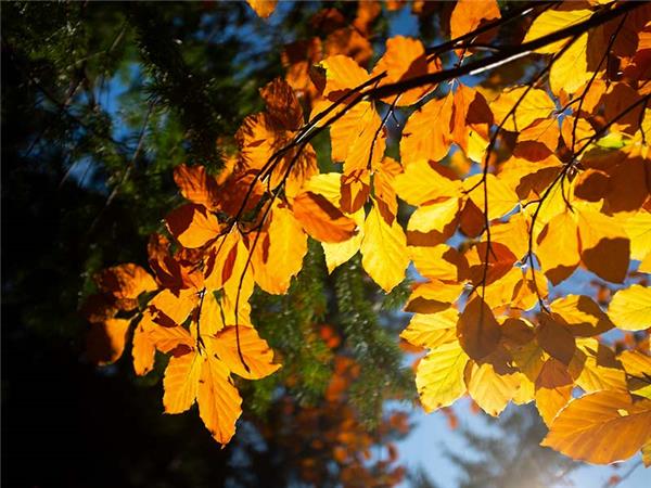 Autumn walking vacation in the Scottish Highlands