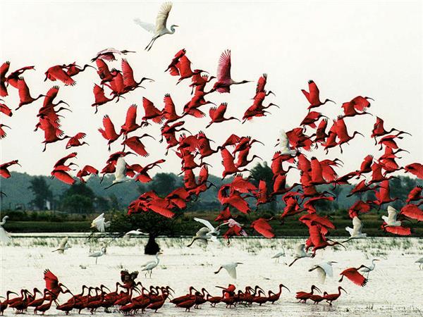 Brazilian Amazon by boat vacation