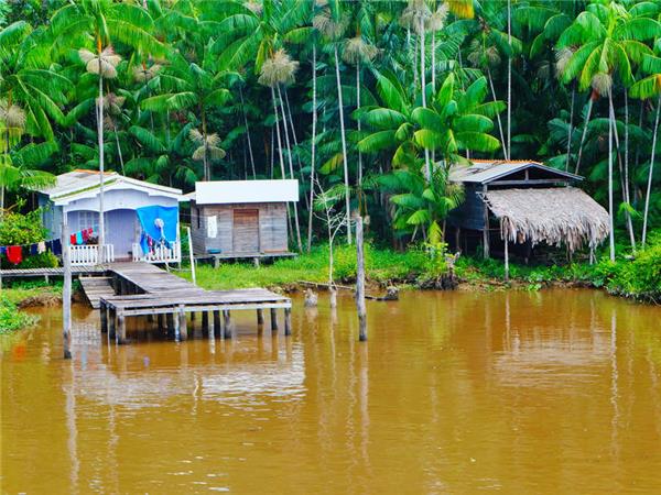 Brazilian Amazon by boat vacation