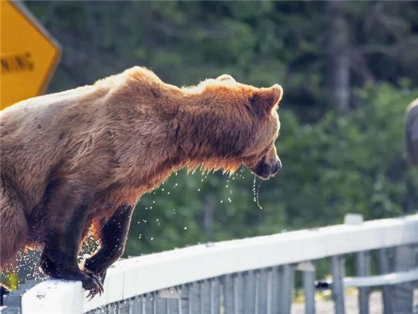 Outdoor Alaska vacation