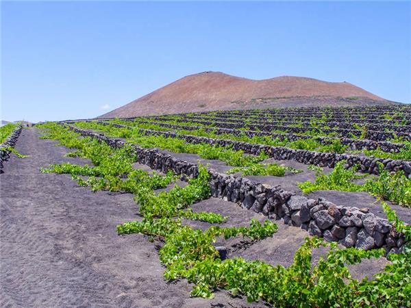 Lanzarote walking vacation in Canary Islands