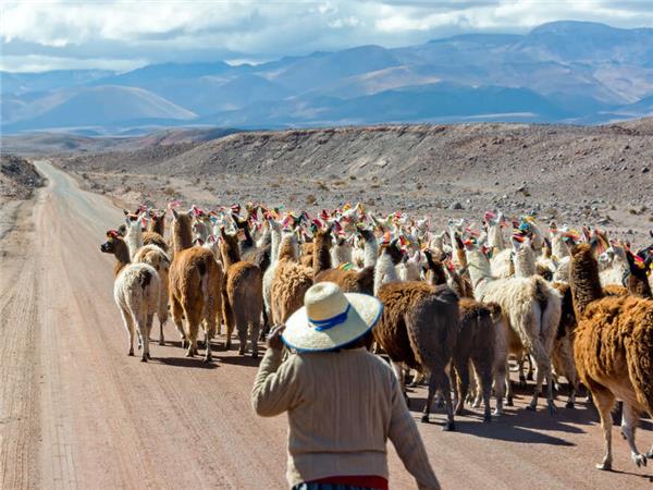 Best of Argentina, Bolivia and Chile vacation