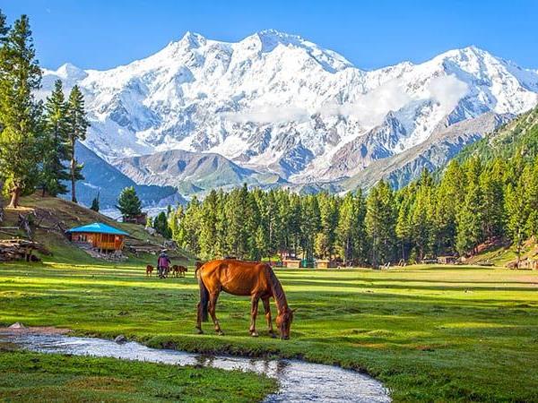 Pakistan, Karakorum highlights vacation