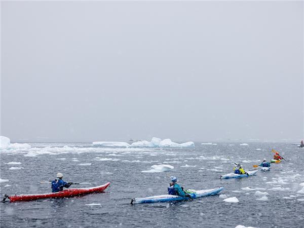 Antarctic cruise with the World Wildlife Fund