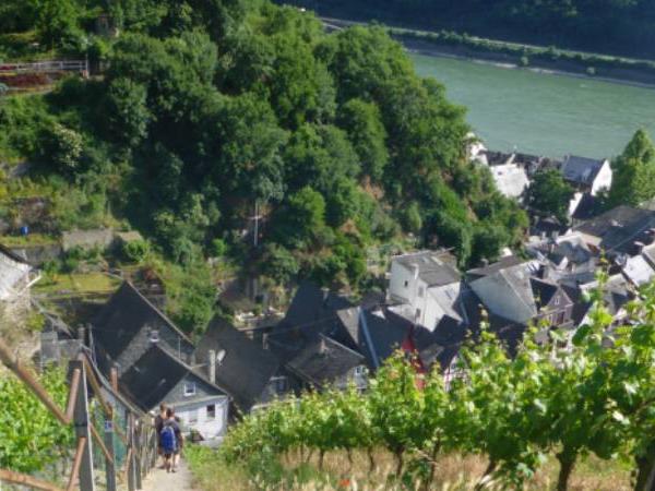 Germany walking vacation, Rhine River & Castles Walk