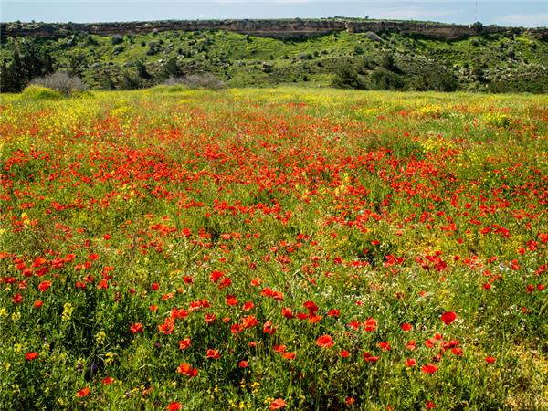 Northern Cyprus walking vacation