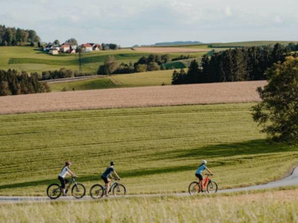 Danube cycling holiday, self guided