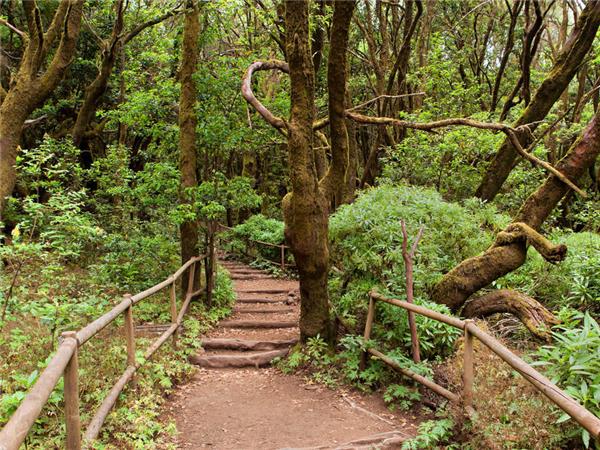 Canary Islands walking vacation