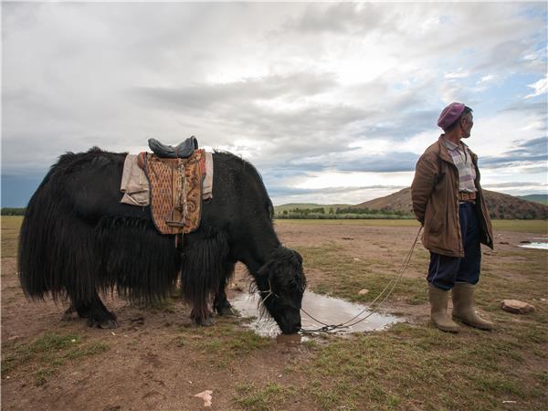 Mongolia cycling vacation