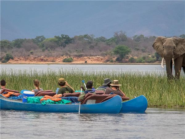 Small group safaris to Zambia