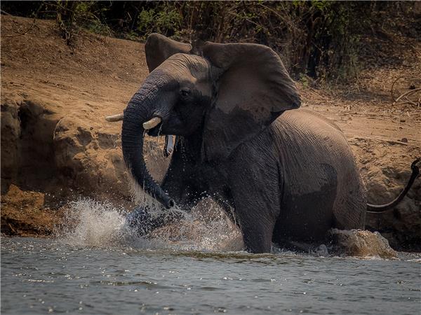 Small group safaris to Zambia