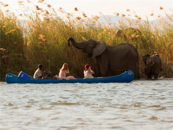 Small group safaris to Zambia