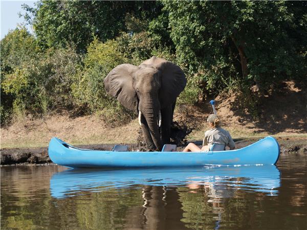 Small group safaris to Zambia