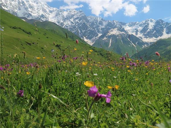 Hiking in the Caucasus vacation