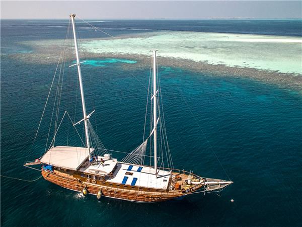 Maldives vacation, wildlife cruise