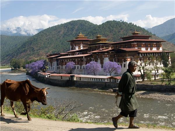 Festivals of Bhutan vacations