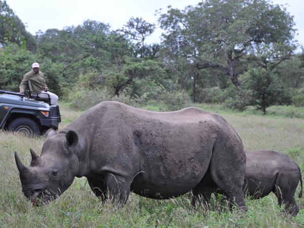 Three Reserve safari in South Africa