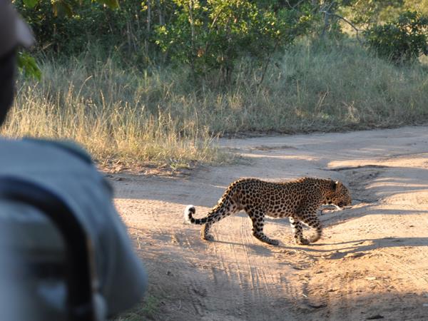 Three Reserve safari in South Africa