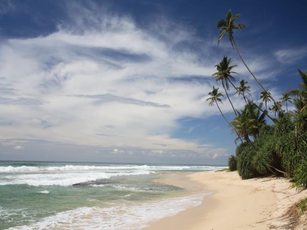 Beach vacation & tour in Sri Lanka