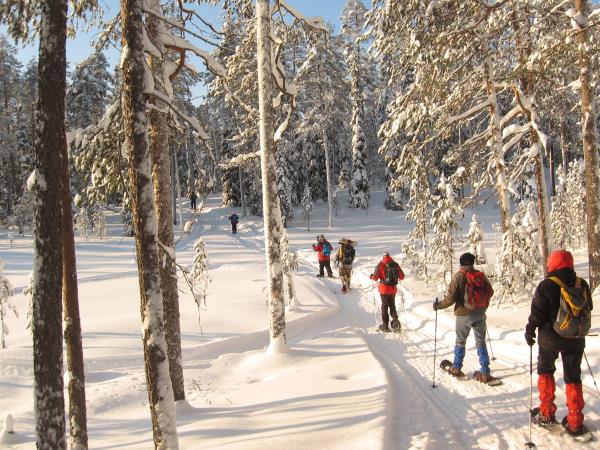 Snowshoeing vacation in Finland