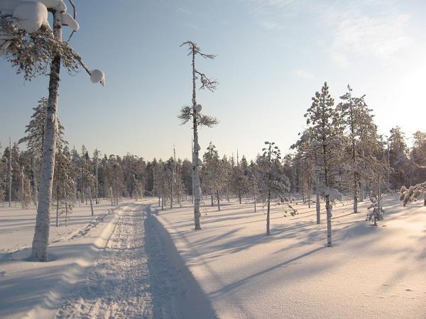 Snowshoeing vacation in Finland