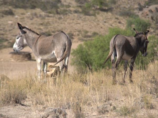 Toro Toro National Park tour, Bolivia