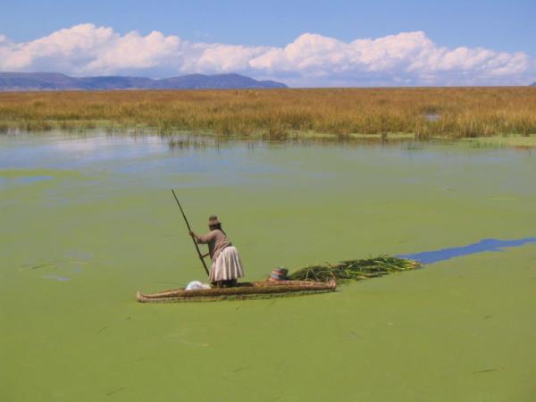 Andes Journey, Atacama desert to Machu Picchu