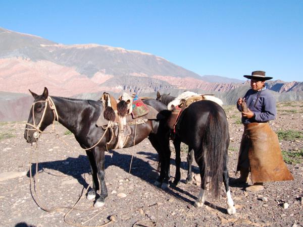 Horse riding & trekking in Argentina