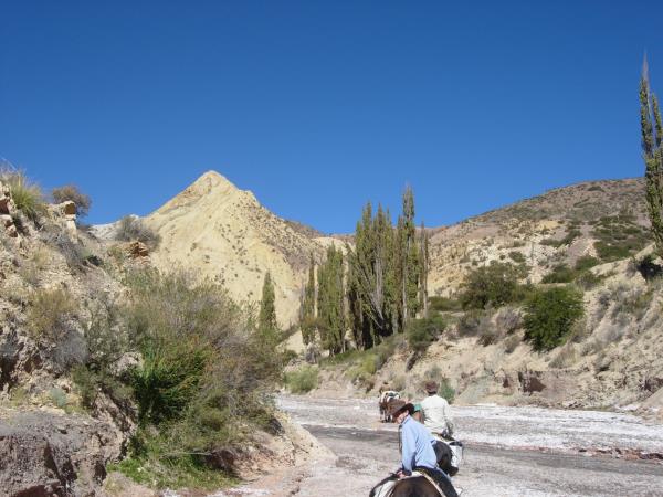 Horse riding & trekking in Argentina